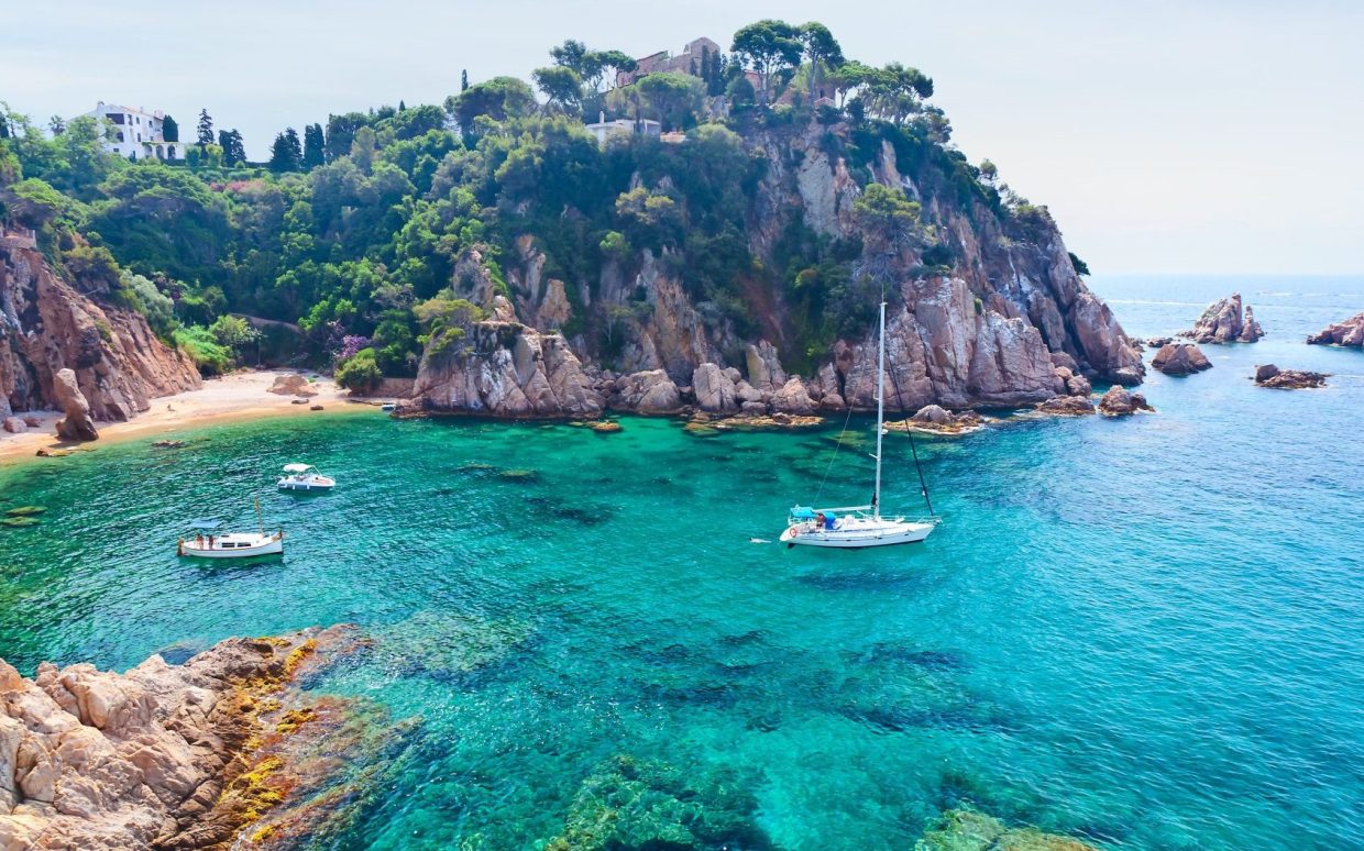 photo de rosas sur la costa brava
