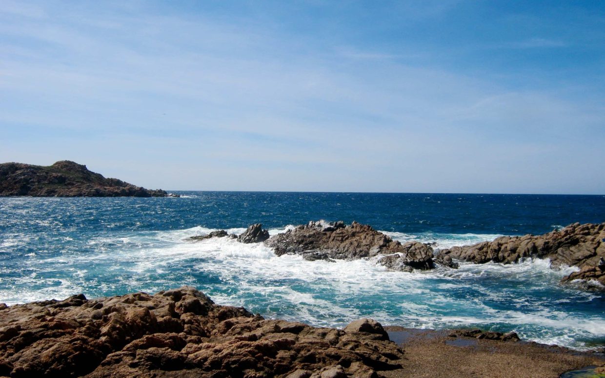 photo de paulo saverdera